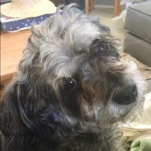 Meet your Posher, Aleth